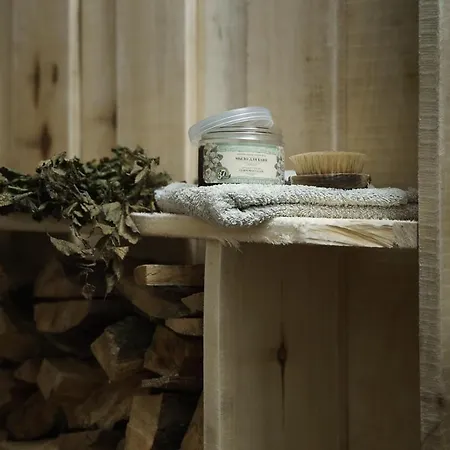 Punkt Nemo Digital Detox Z Sauna By Nestri